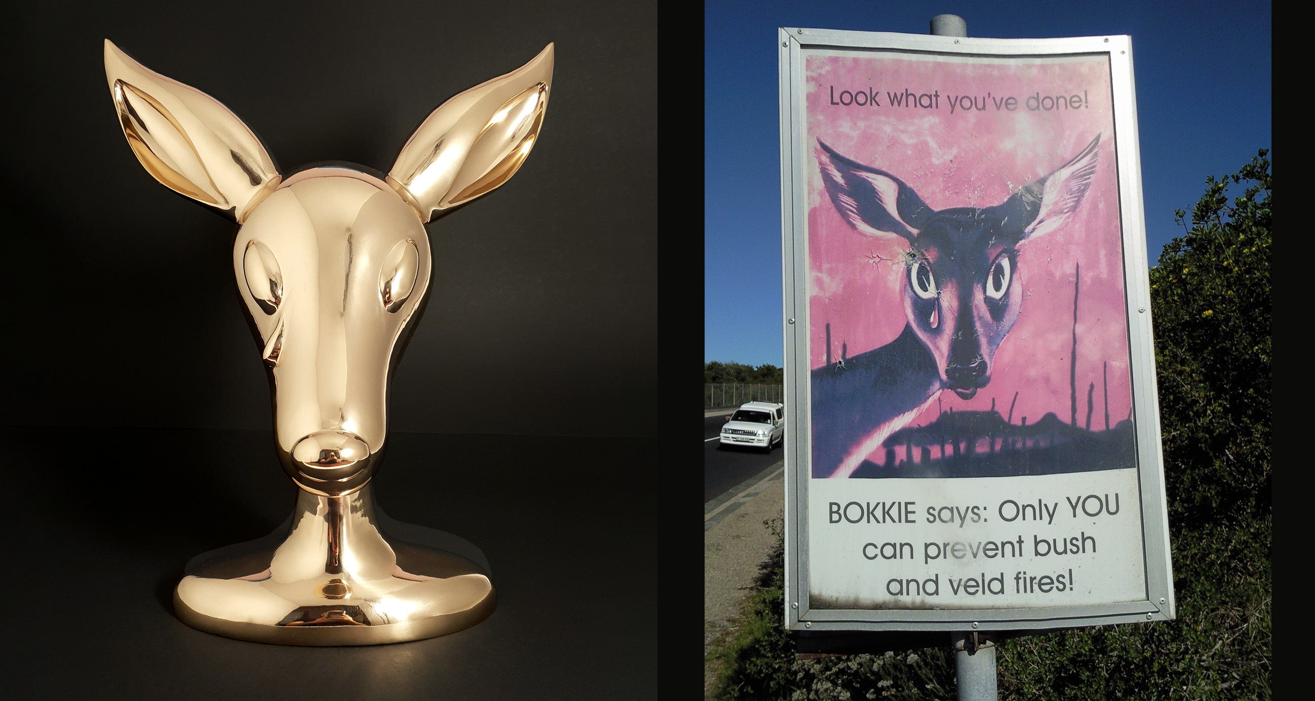 Look What You’ve Done: Bokkie Reimagined