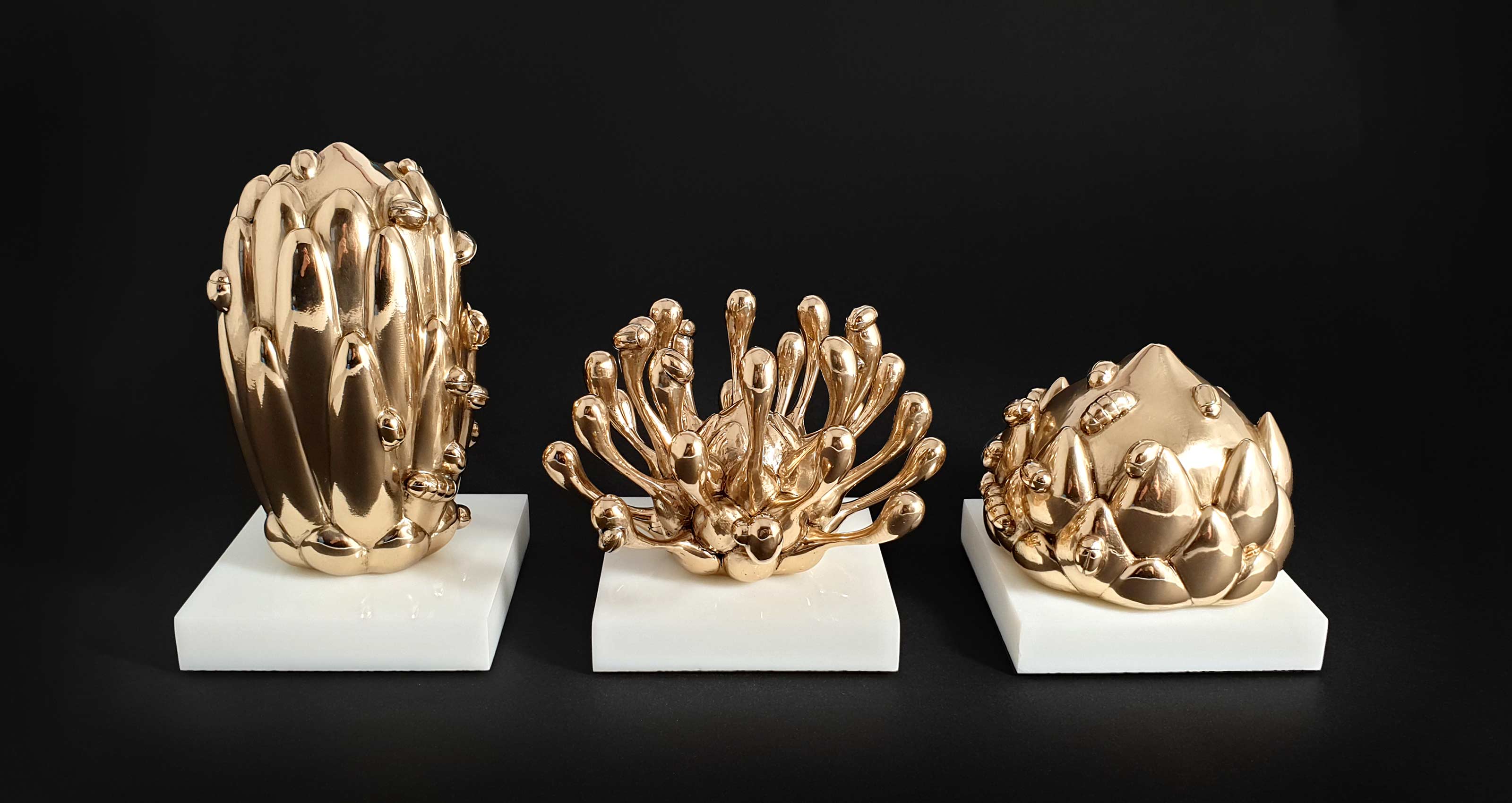 Proteaceae Exhibition