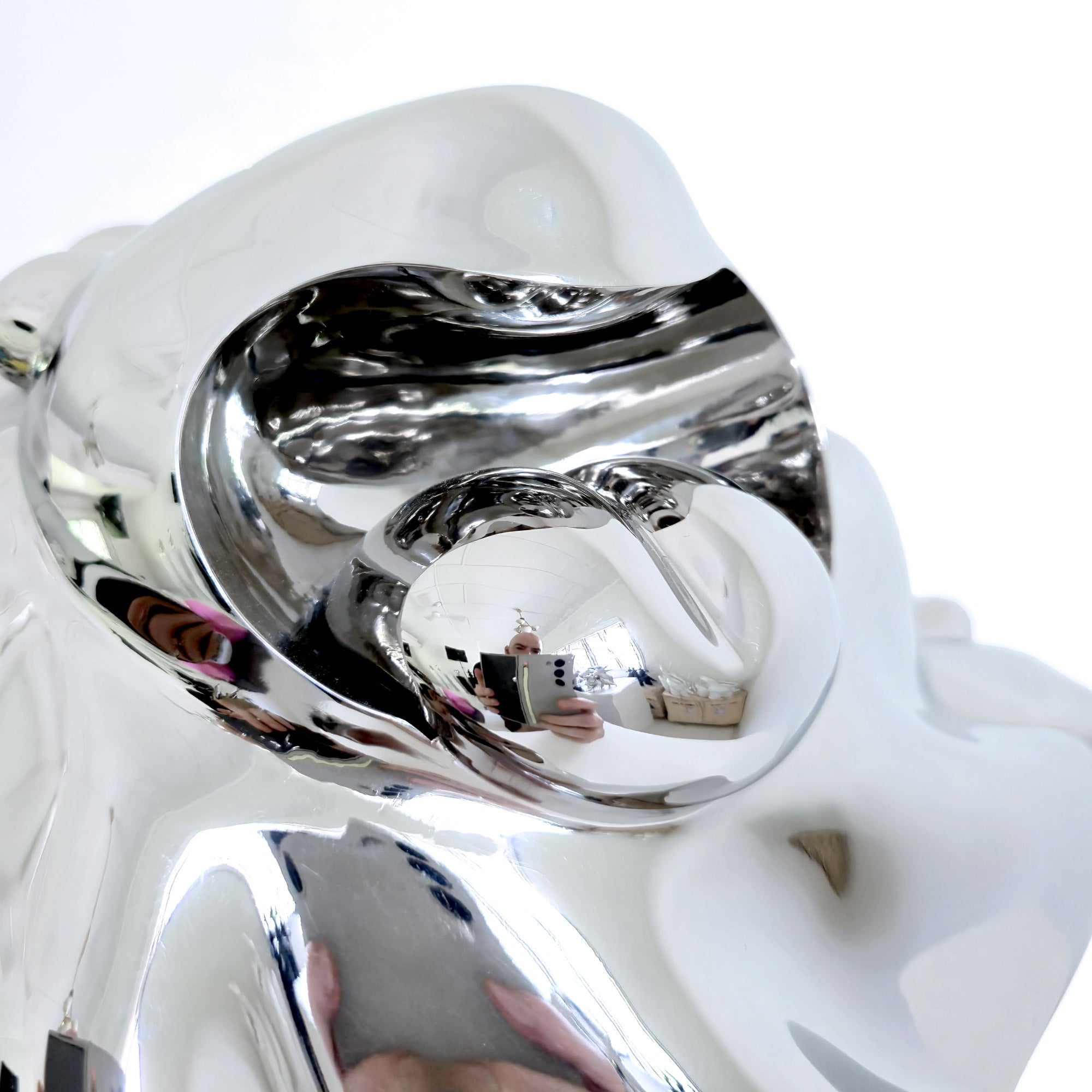 Lion Roar Poser (Mirror-Polished Stainless Steel)