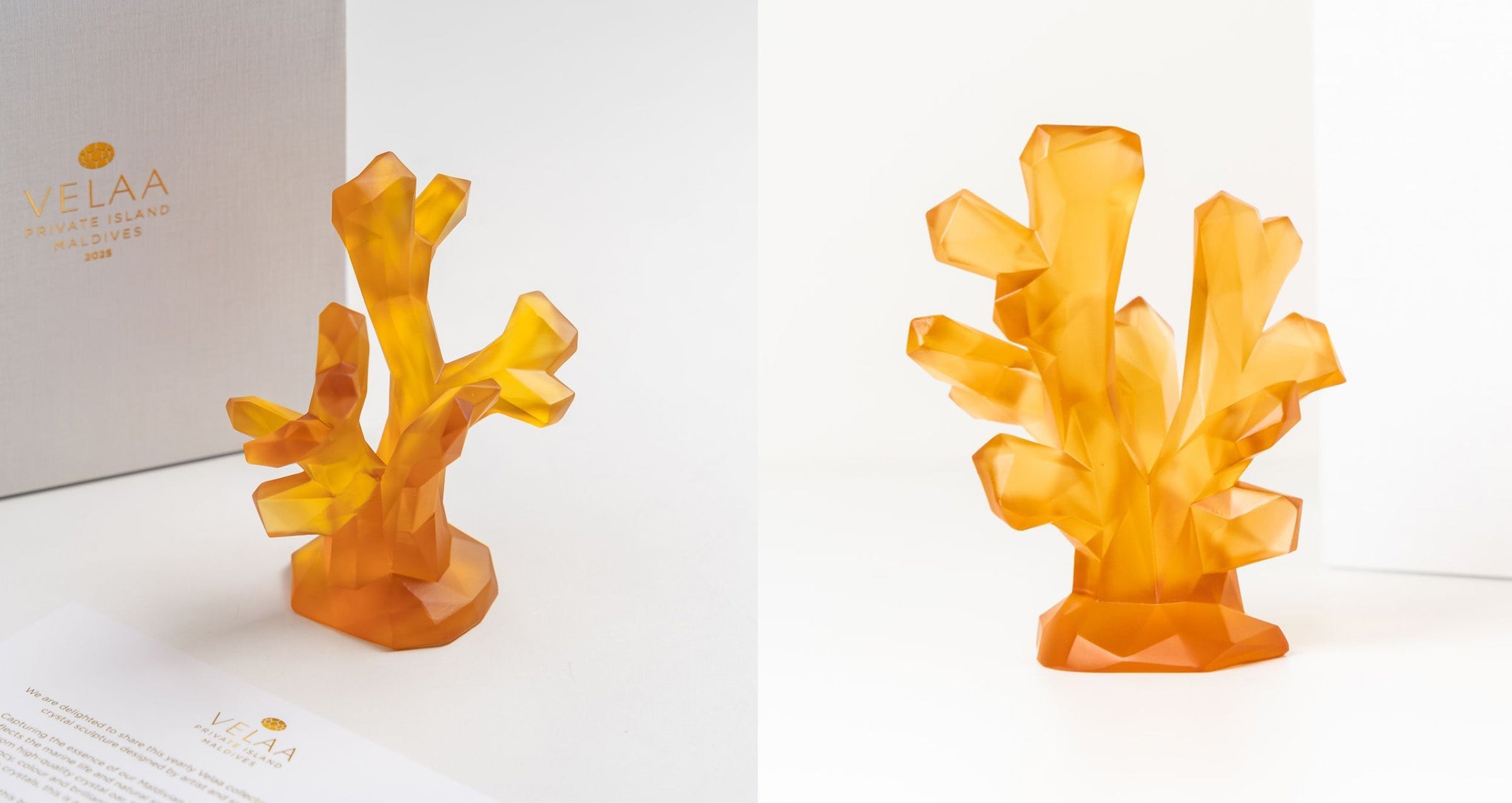 Amber Coral Crystal