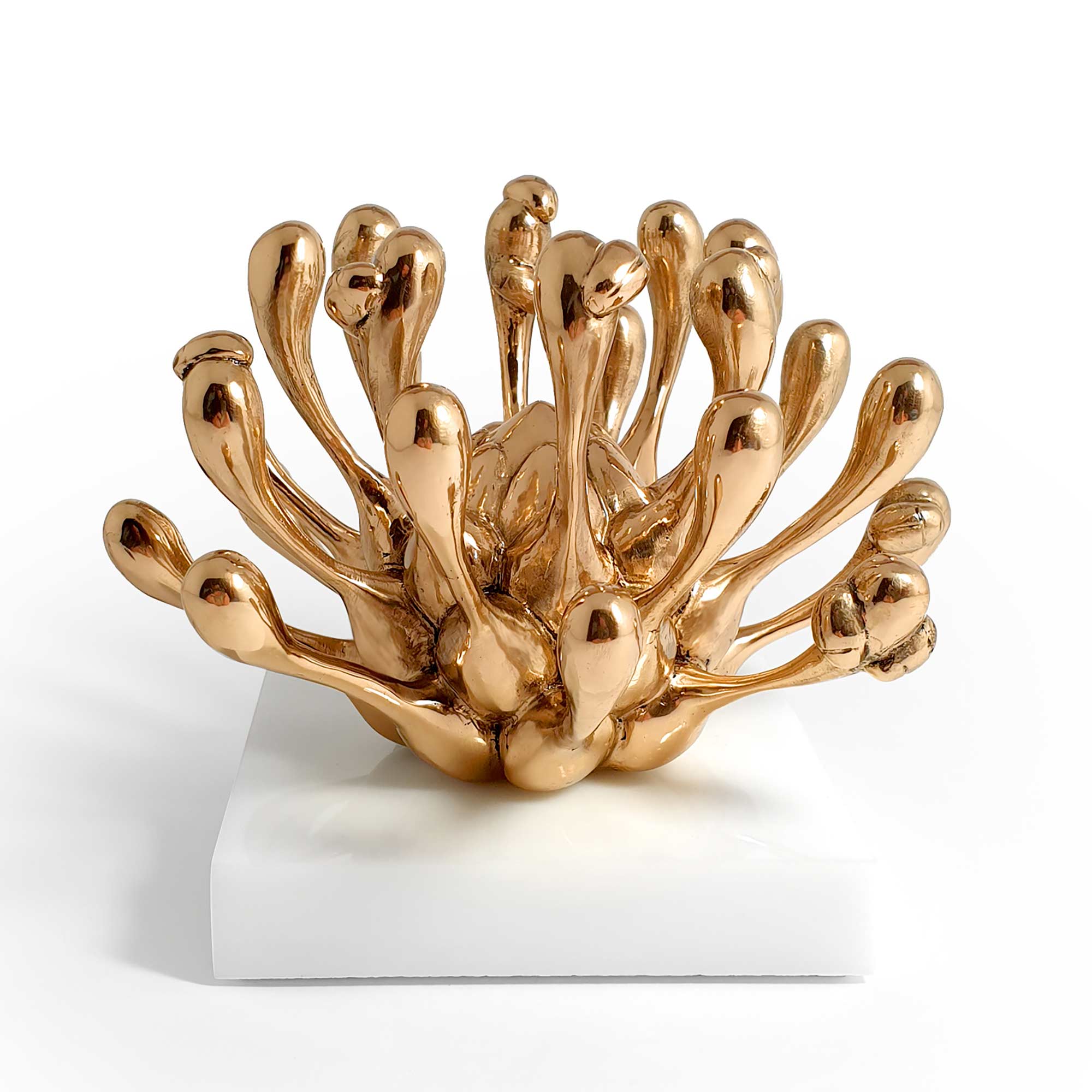 Proteaceae, protea plant flower sculpture, Mirror Polished bronze sculpture, by artist Ferdi B Dick, b view