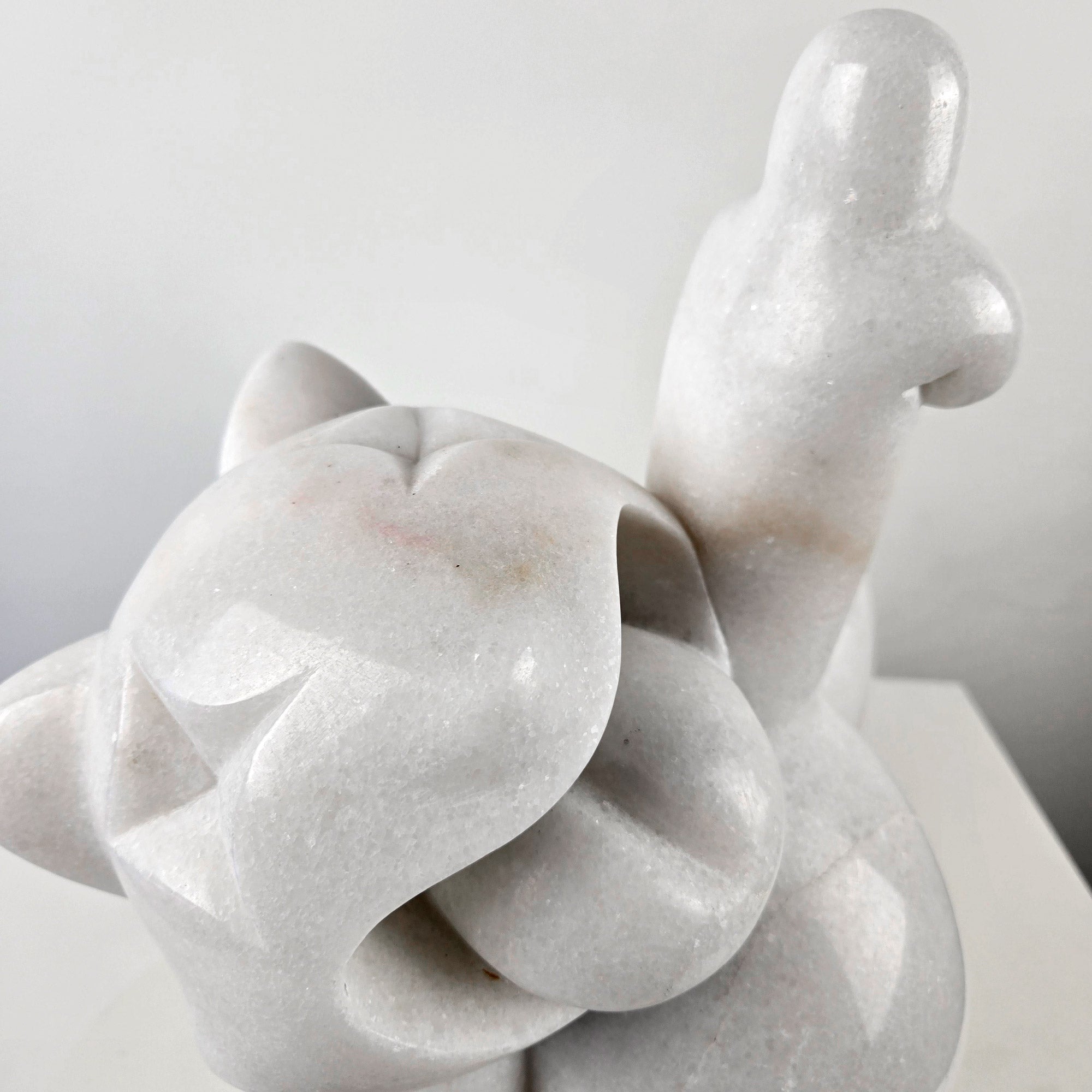 Pussy touch (marble)