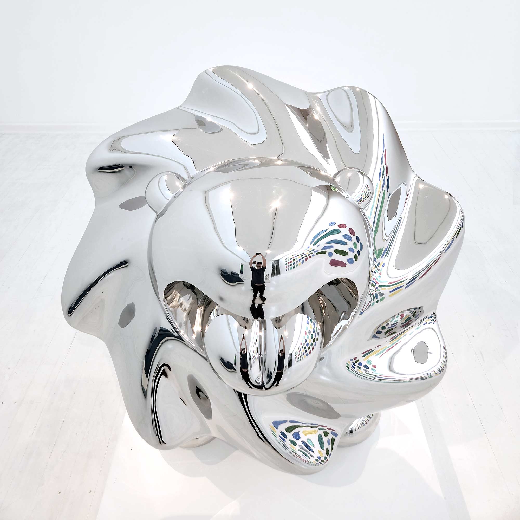 Lions breath polished stainless steel sculpture large size by Ferdi B Dick , top face view