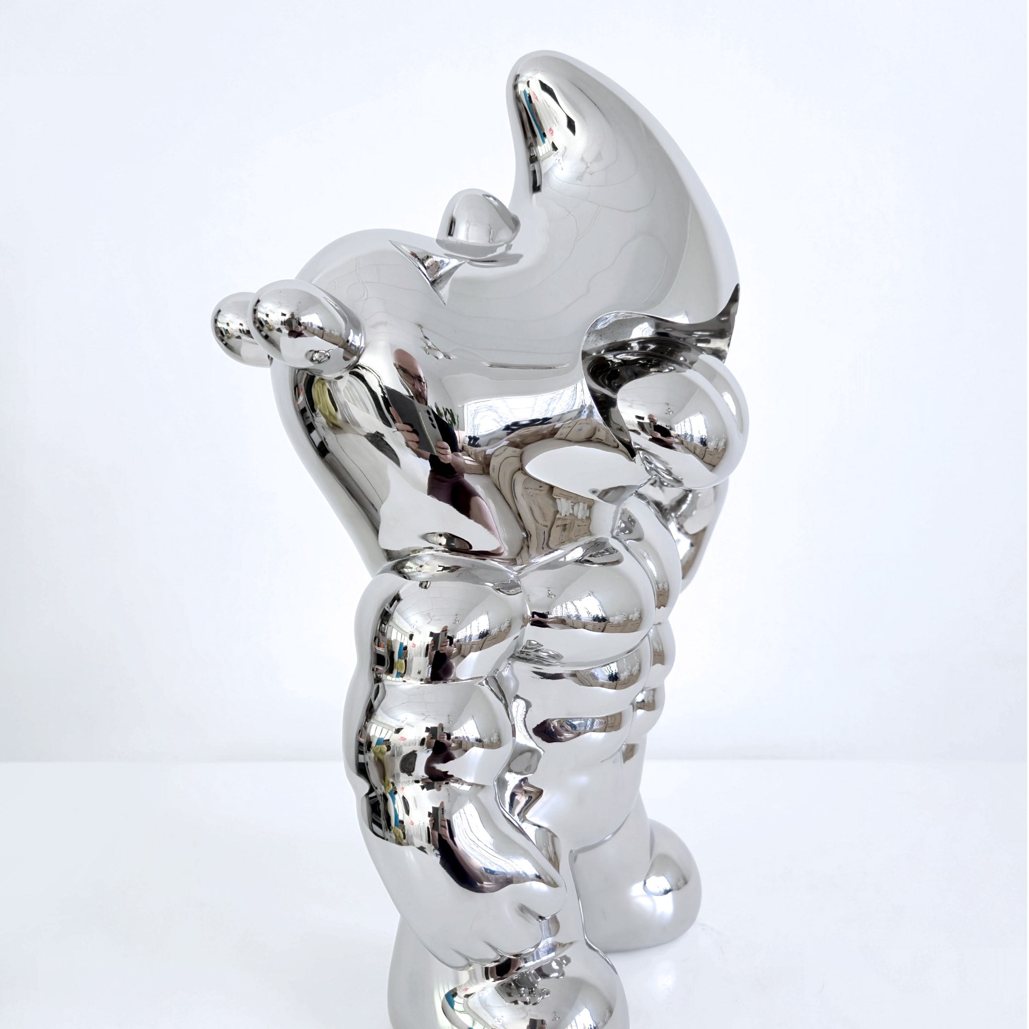 Rino Roar (Mirror-Polished Stainless Steel)
